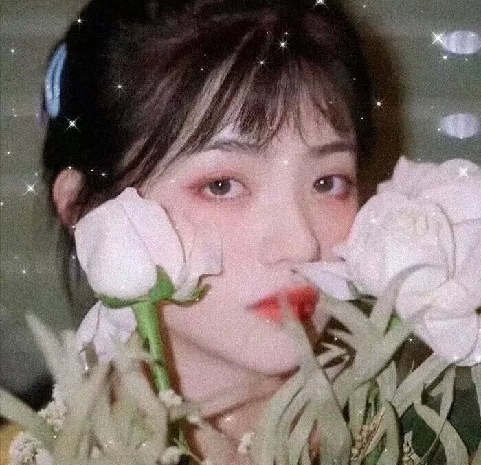 暗影守卫